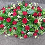 All red rose 