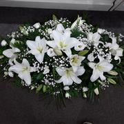 White lillie spray 3ft