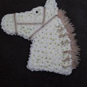 Horses head 02-01-2026 19 07 12