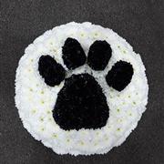 Paw print 